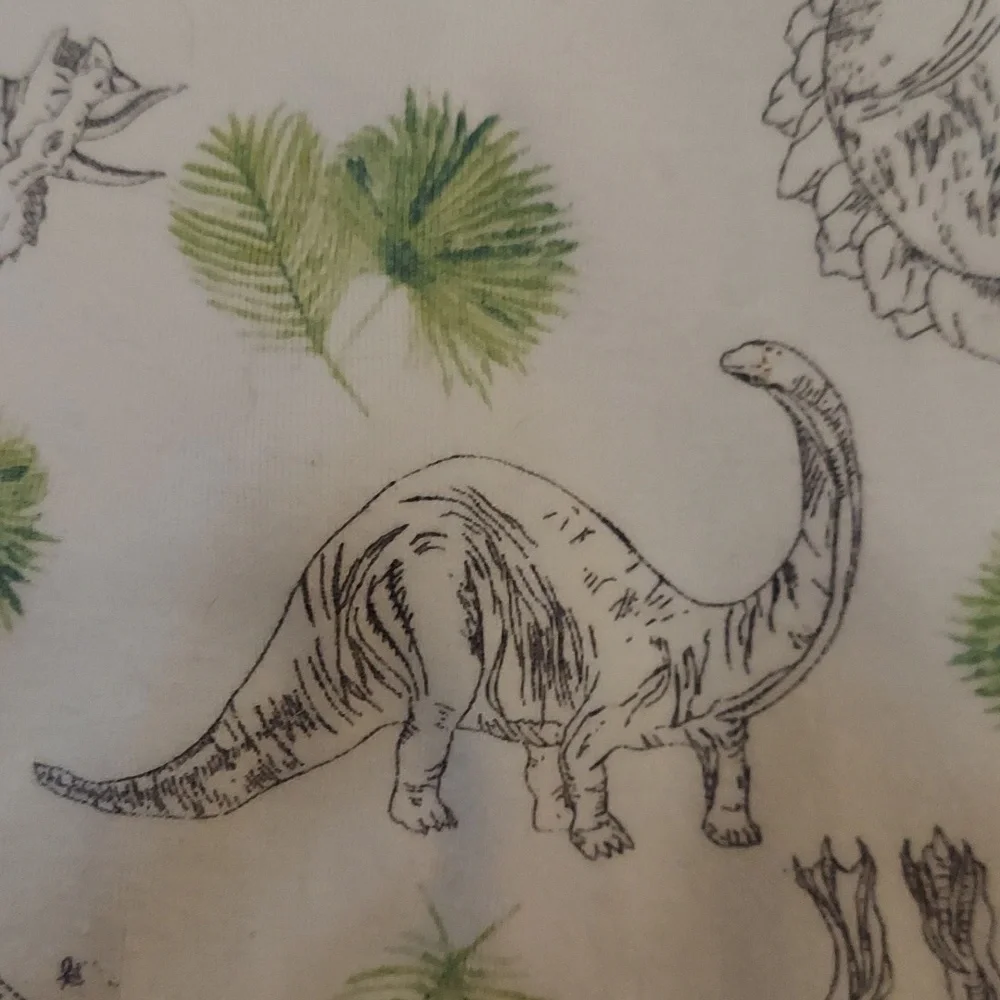 ⭐️ 5/30 Burt's Bees 6-9 month dinosaur pajamas, green, footed